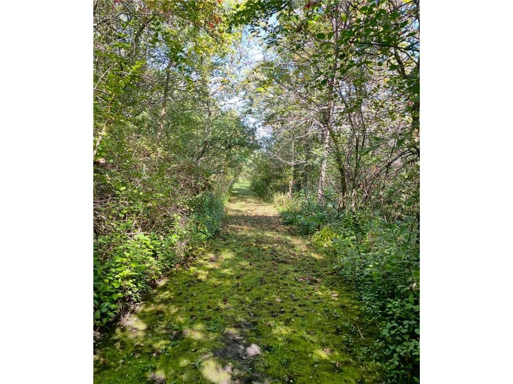 na na Bancroft Twp MN 56007 7001734 image16