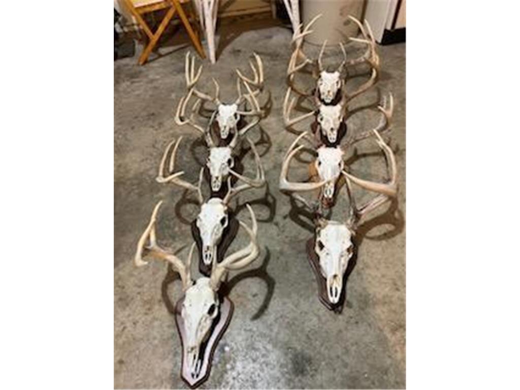 na na Bancroft Twp MN 56007 7001734 image2