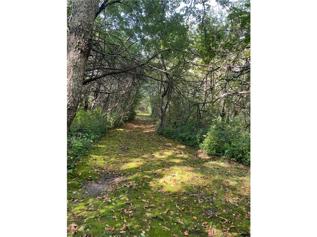 na na Bancroft Twp MN 56007 7001734 image21