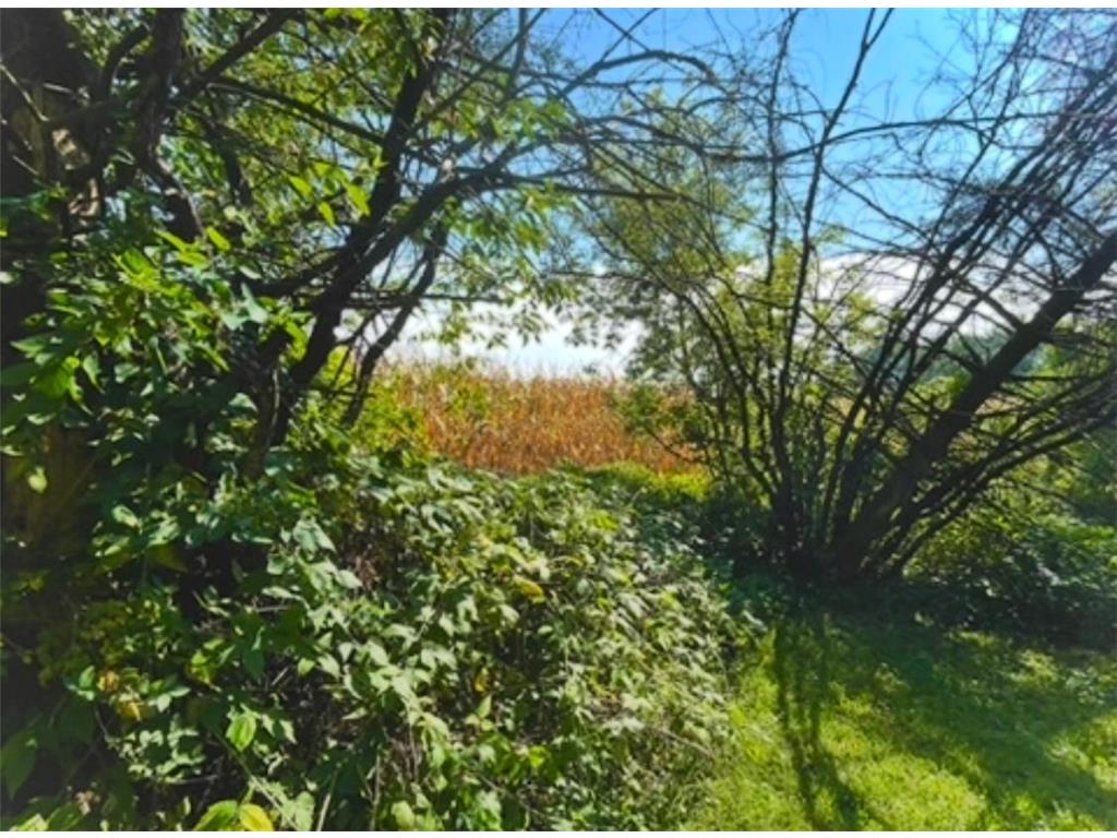 na na Bancroft Twp MN 56007 7001734 image23