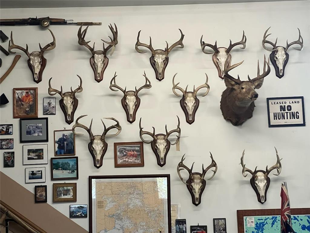 na na Bancroft Twp MN 56007 7001734 image5