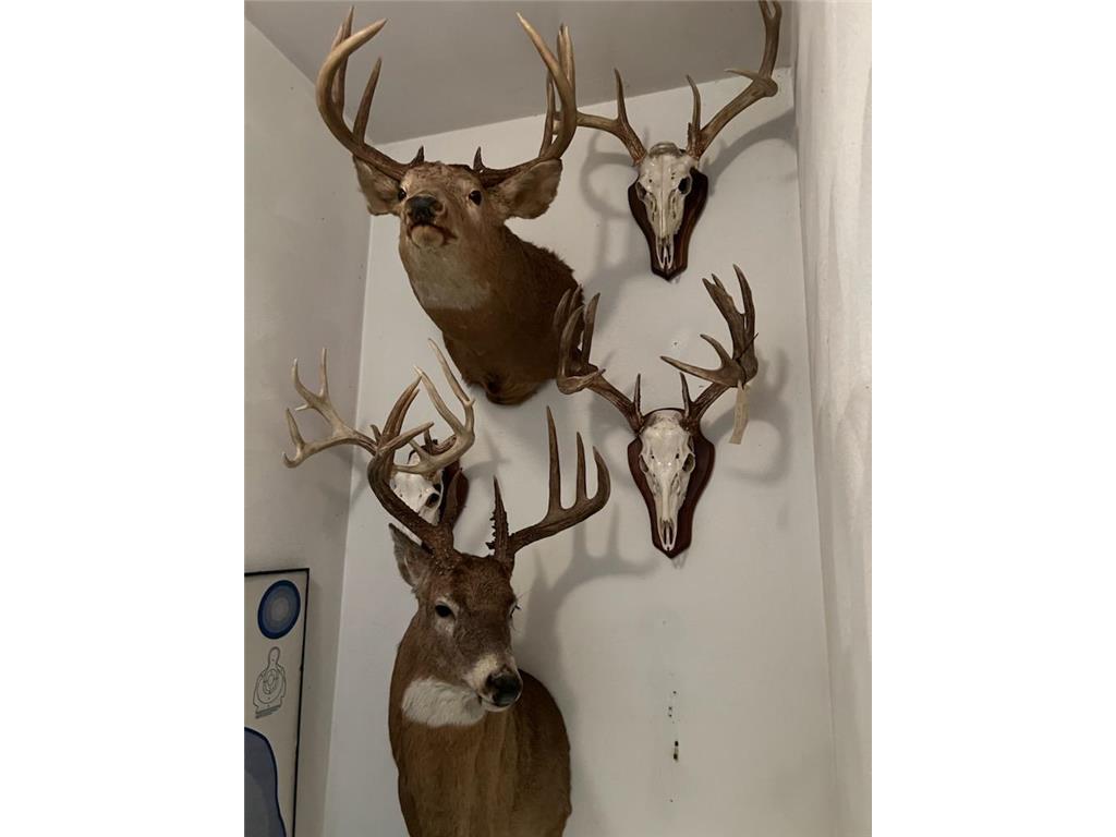 na na Bancroft Twp MN 56007 7001734 image7