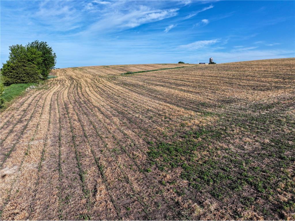 tbd 140th Avenue SE Eyota MN 55934 7082768 image19