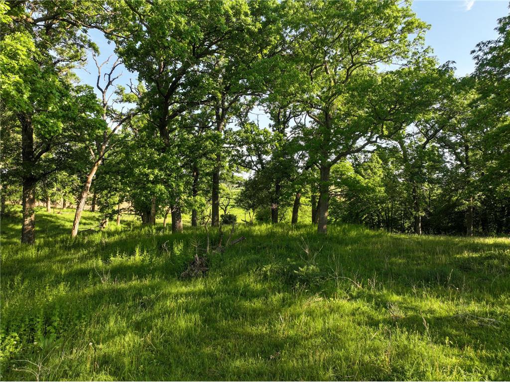 tbd 140th Avenue SE Eyota MN 55934 7082768 image31
