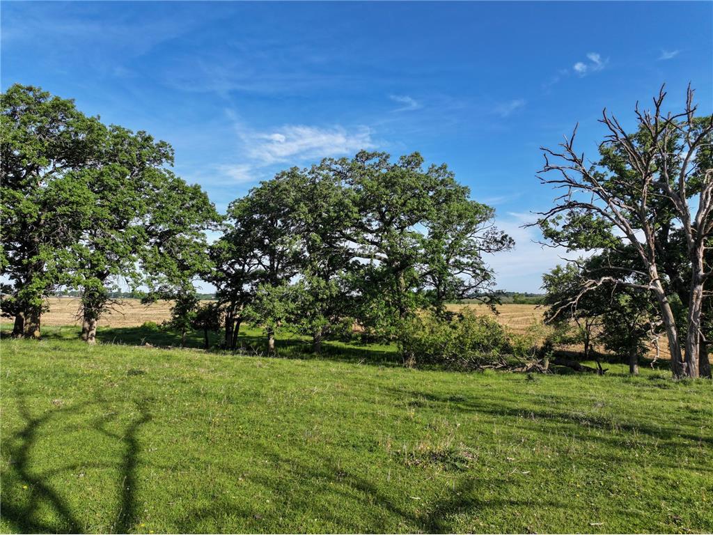 tbd 140th Avenue SE Eyota MN 55934 7082768 image32