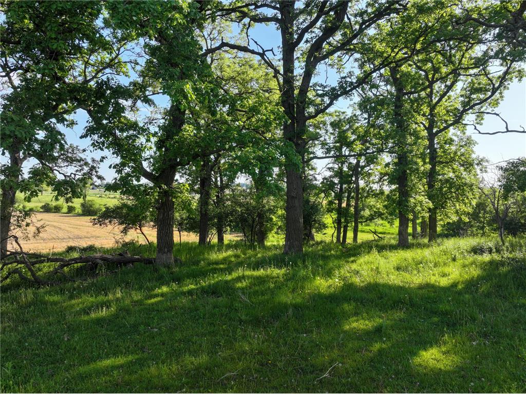 tbd 140th Avenue SE Eyota MN 55934 7082768 image33