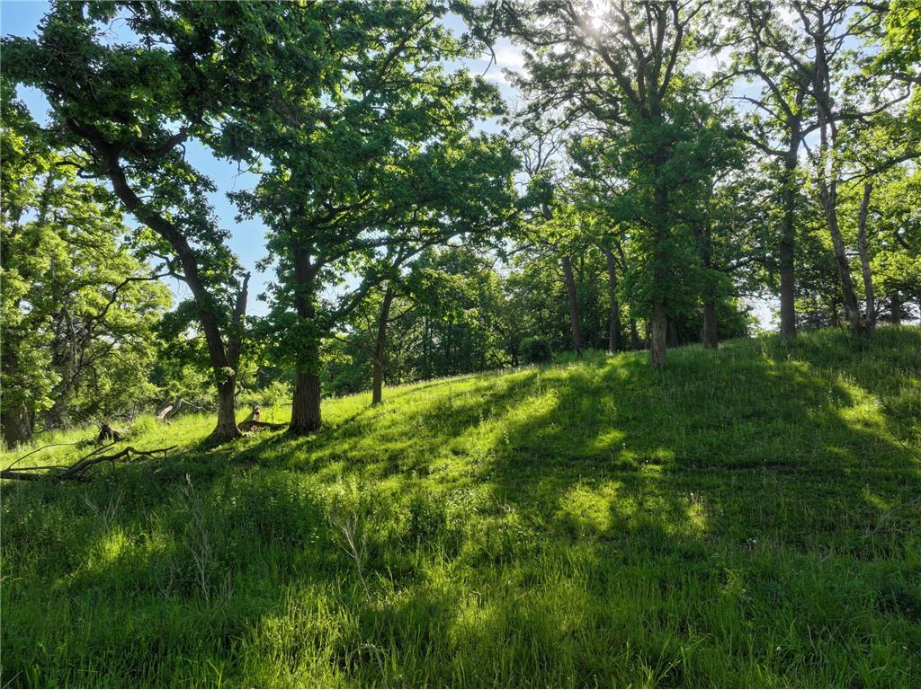 tbd 140th Avenue SE Eyota MN 55934 7082768 image34