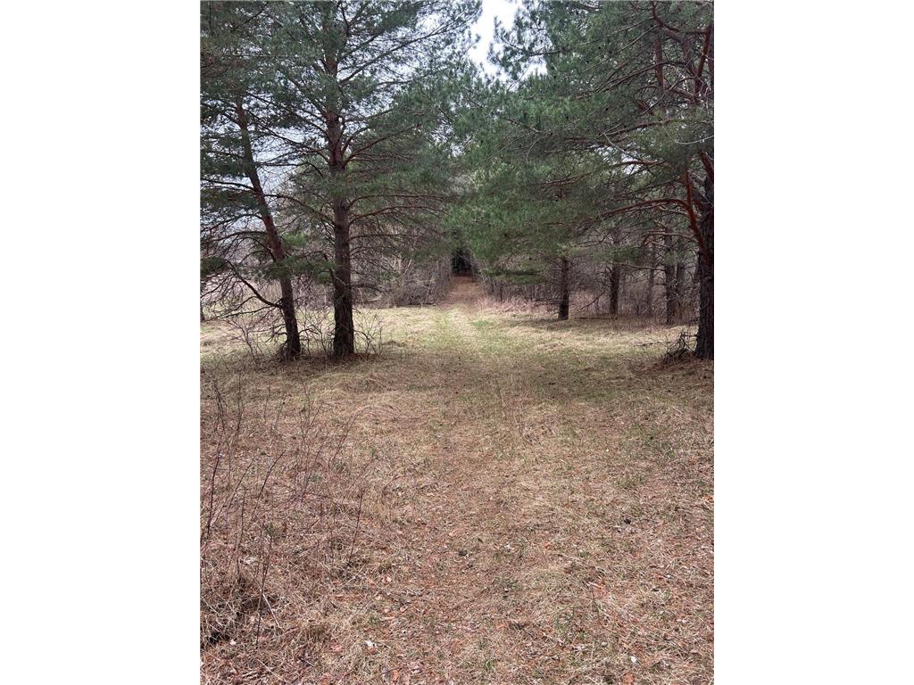 tbd 253rd Street NW Stanford Twp MN 55398 7054136 image1