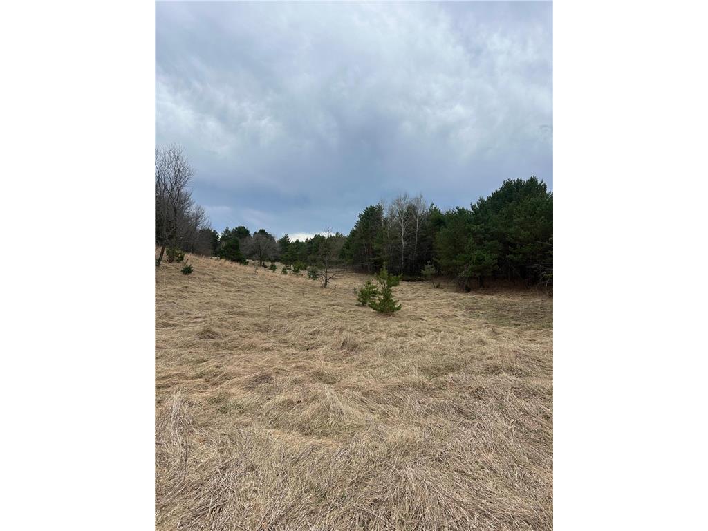 tbd 253rd Street NW Stanford Twp MN 55398 7054136 image10
