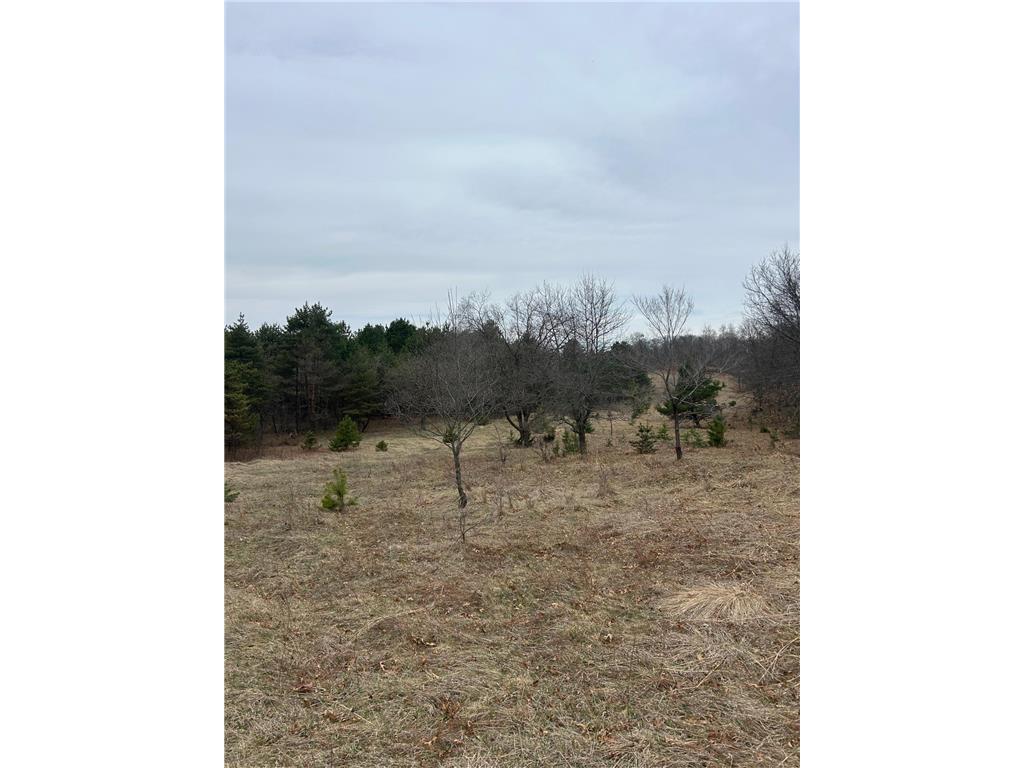 tbd 253rd Street NW Stanford Twp MN 55398 7054136 image11