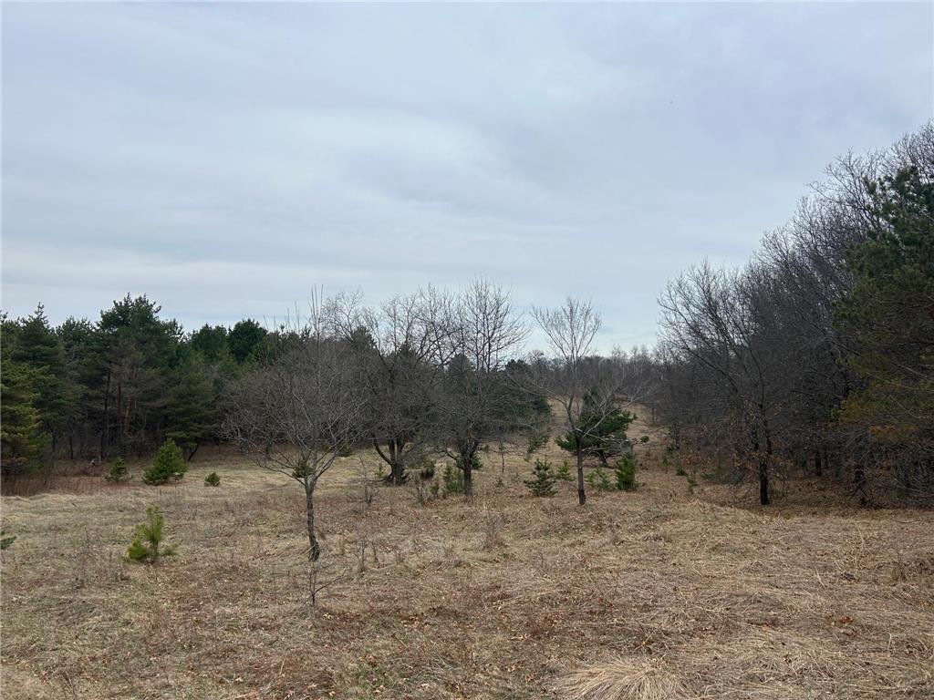 tbd 253rd Street NW Stanford Twp MN 55398 7054136 image12