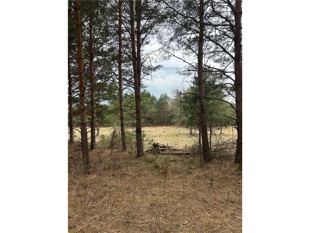 tbd 253rd Street NW Stanford Twp MN 55398 7054136 image15