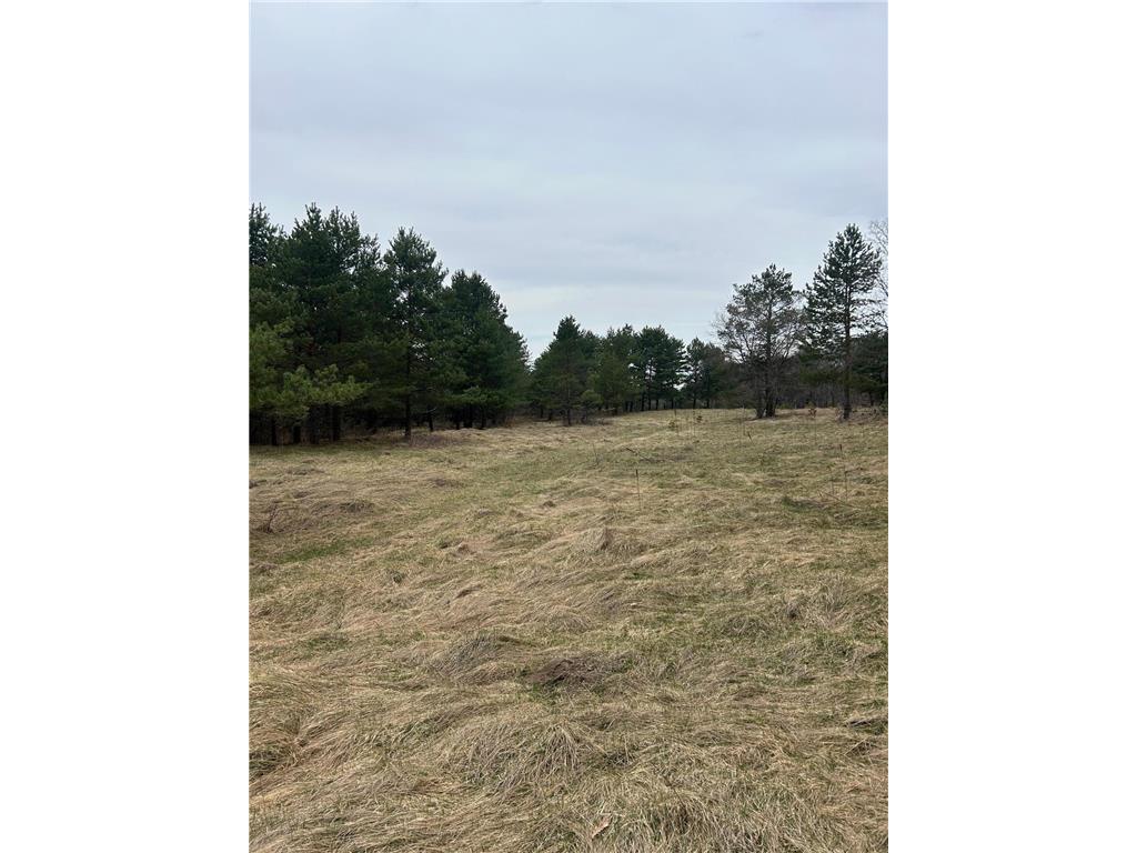 tbd 253rd Street NW Stanford Twp MN 55398 7054136 image16