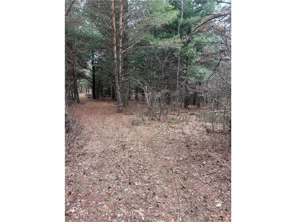 tbd 253rd Street NW Stanford Twp MN 55398 7054136 image3