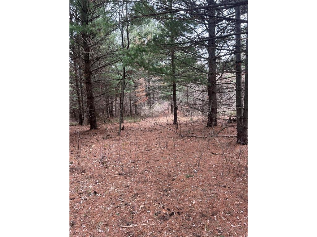 tbd 253rd Street NW Stanford Twp MN 55398 7054136 image4
