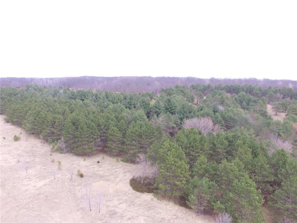 tbd 253rd Street NW Stanford Twp MN 55398 7054136 image5