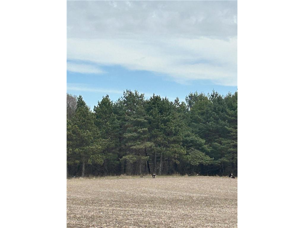 tbd 253rd Street NW Stanford Twp MN 55398 7054136 image9