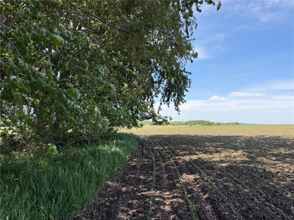 tbd 31st Avenue NW Oronoco MN 55960 7083677 image14