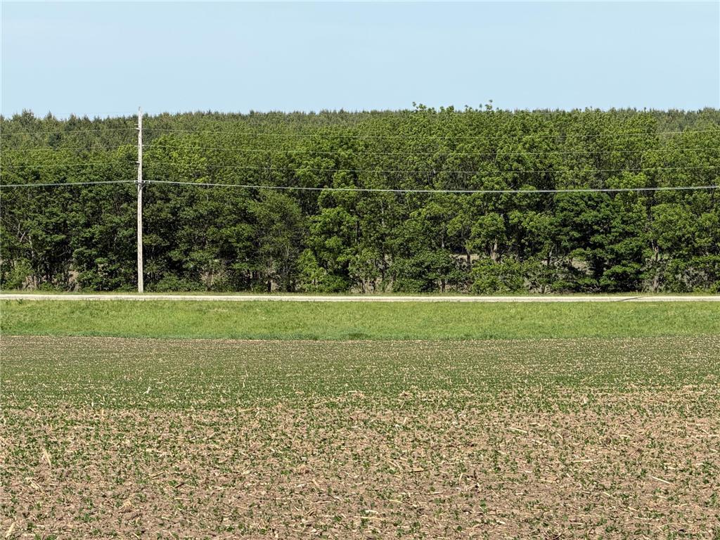 tbd 31st Avenue NW Oronoco MN 55960 7083677 image16