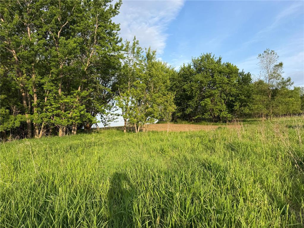 tbd 31st Avenue NW Oronoco MN 55960 7083677 image19