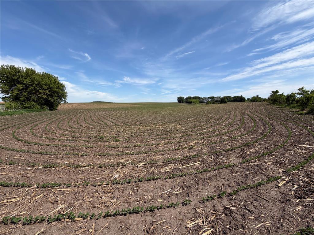 tbd 31st Avenue NW Oronoco MN 55960 7083677 image21