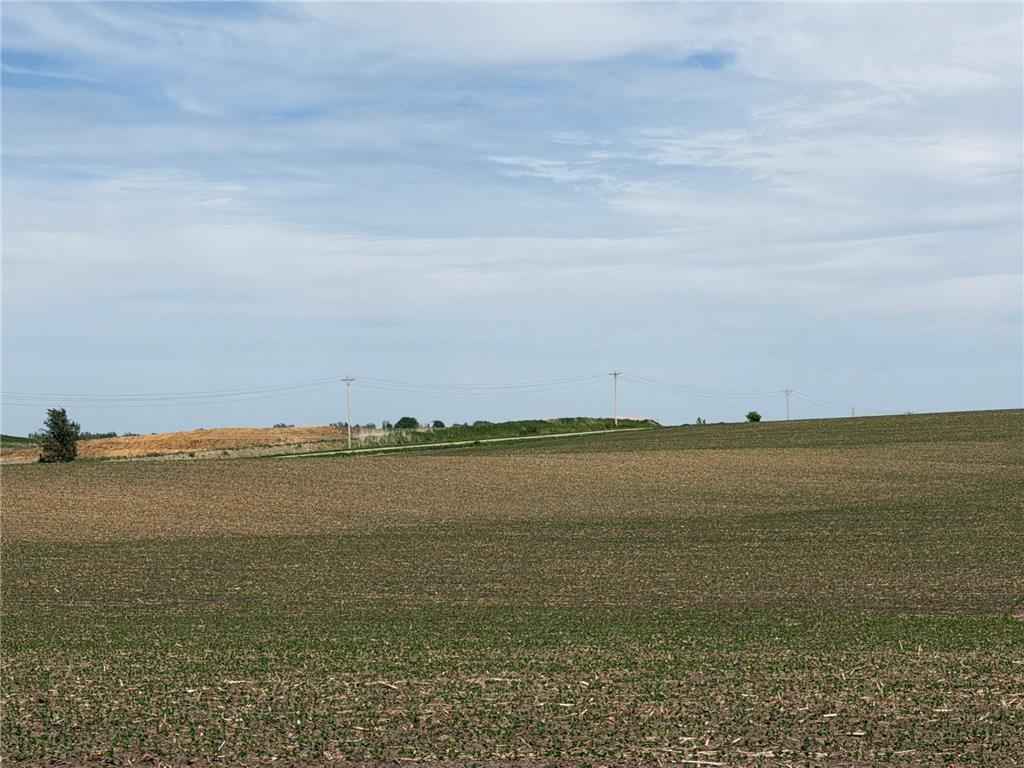 tbd 31st Avenue NW Oronoco MN 55960 7083677 image22