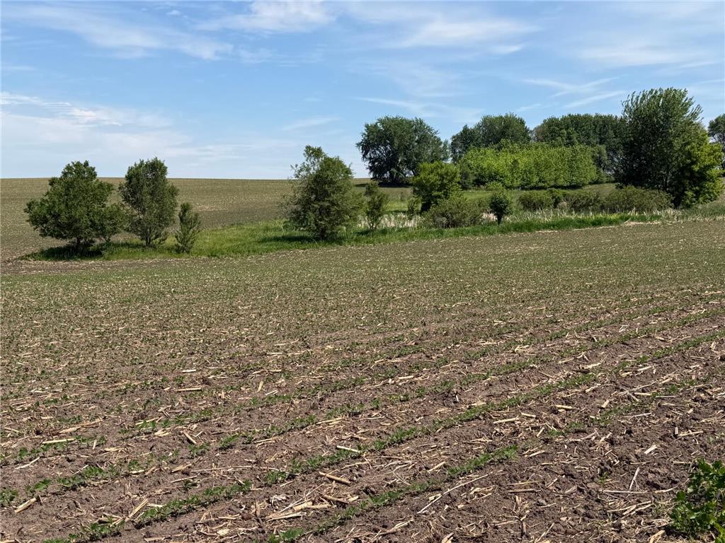 tbd 31st Avenue NW Oronoco MN 55960 7083677 image24
