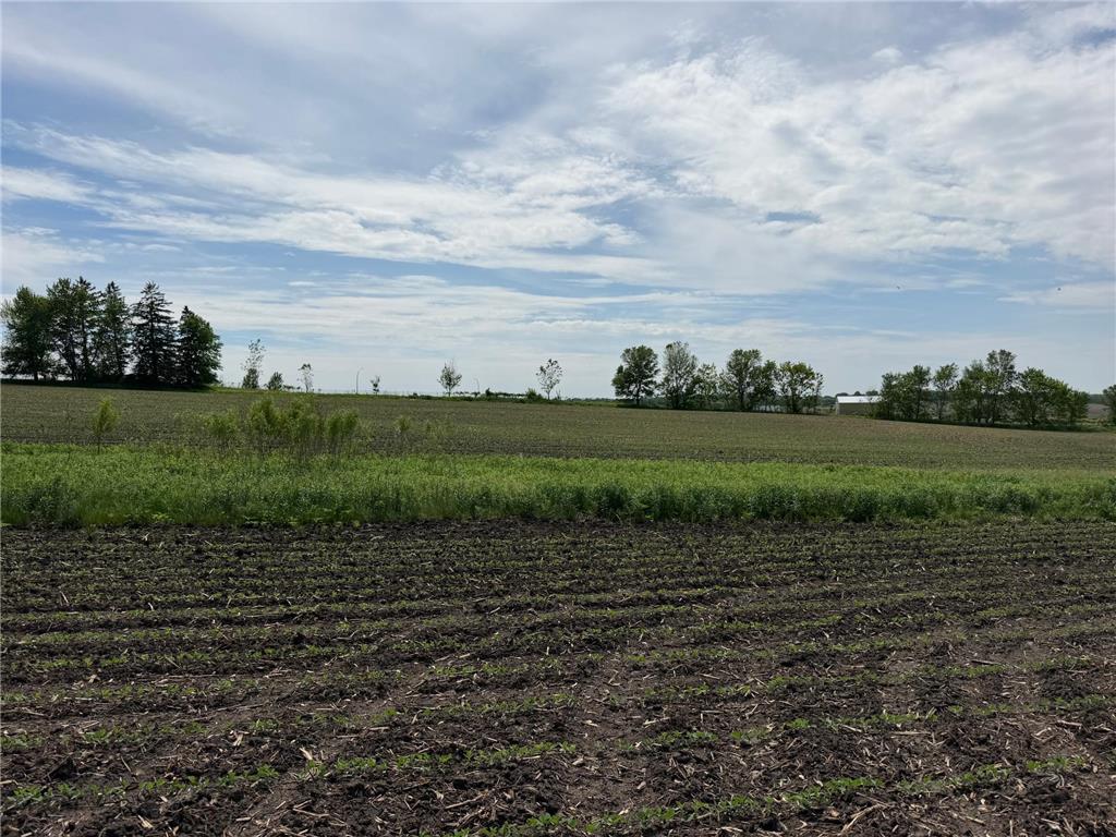 tbd 31st Avenue NW Oronoco MN 55960 7083677 image29