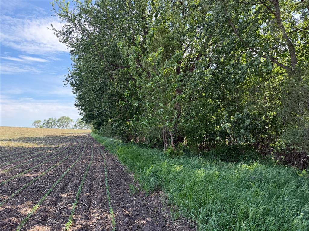 tbd 31st Avenue NW Oronoco MN 55960 7083677 image31