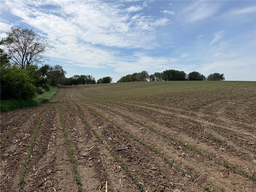 tbd 31st Avenue NW Oronoco MN 55960 7083677 image32