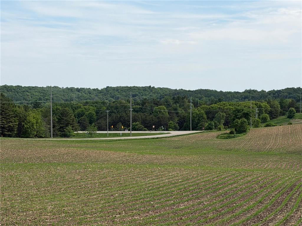 tbd 31st Avenue NW Oronoco MN 55960 7083677 image34