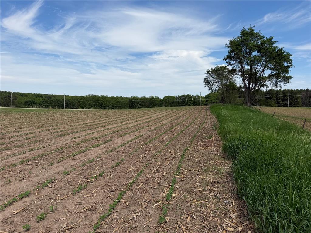 tbd 31st Avenue NW Oronoco MN 55960 7083677 image38