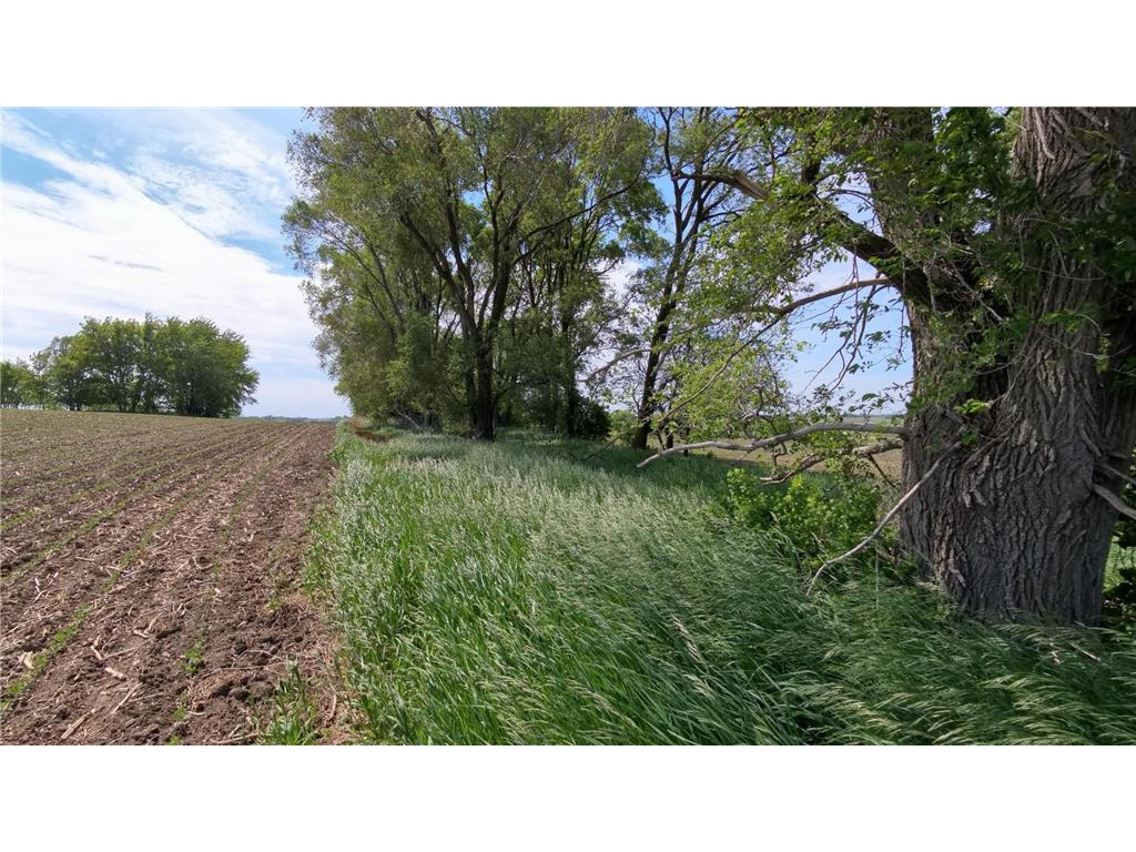 tbd 31st Avenue NW Oronoco MN 55960 7083677 image40