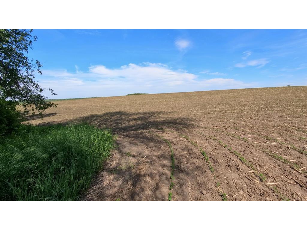 tbd 31st Avenue NW Oronoco MN 55960 7083677 image41