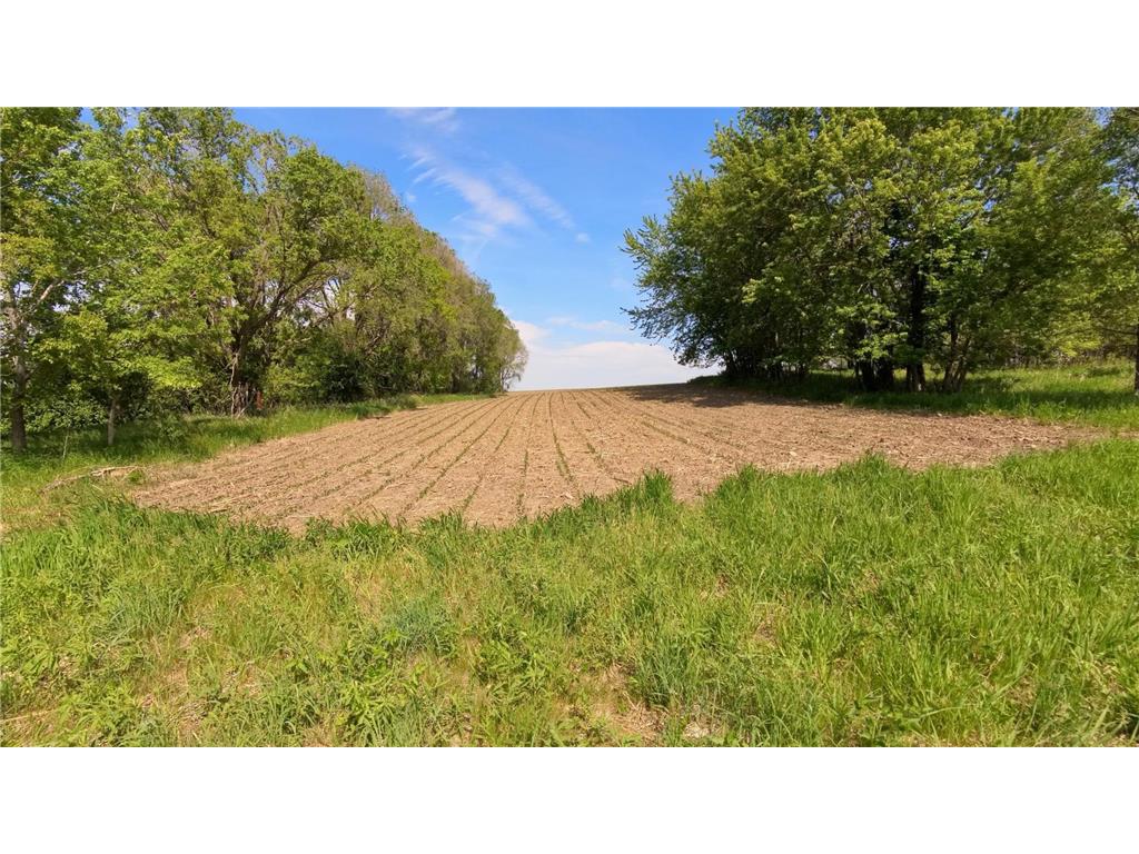 tbd 31st Avenue NW Oronoco MN 55960 7083677 image48