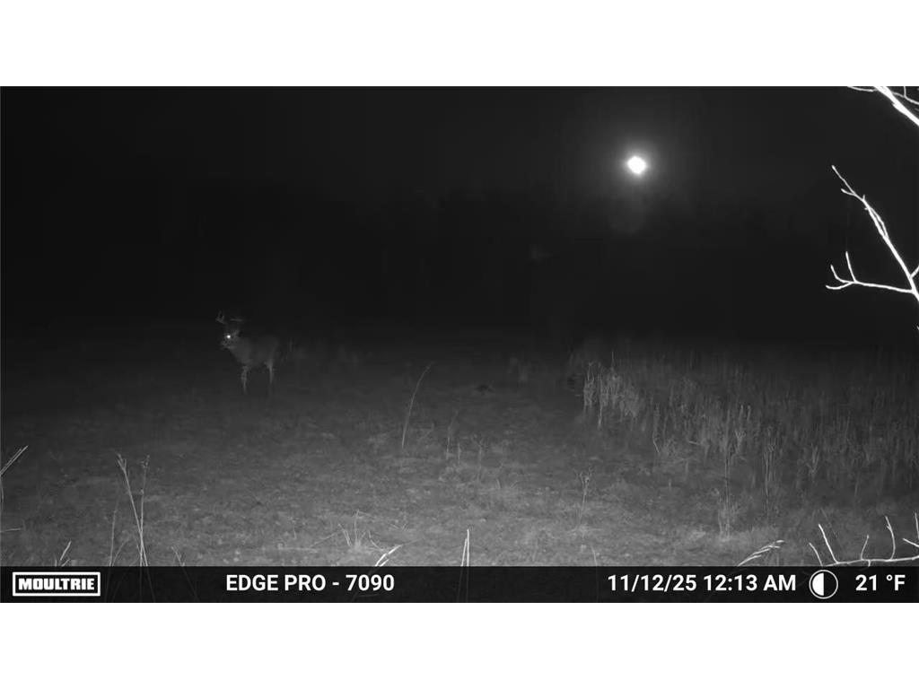 tbd 350th ave sw Cannon Twp MN 56735 7093443 image11