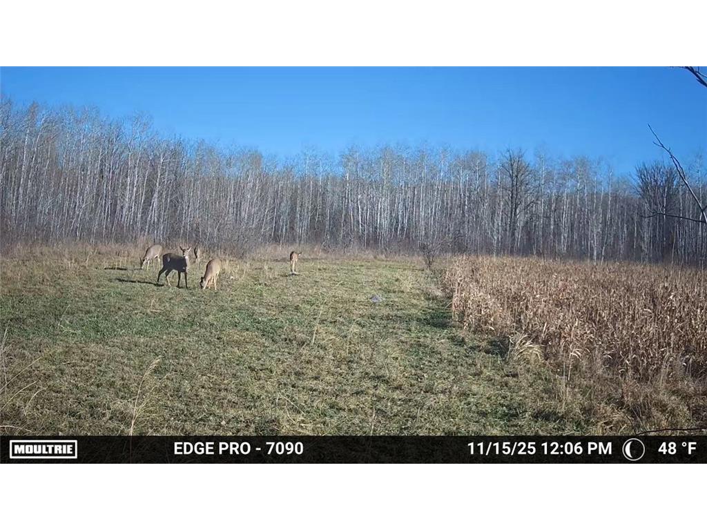 tbd 350th ave sw Cannon Twp MN 56735 7093443 image12