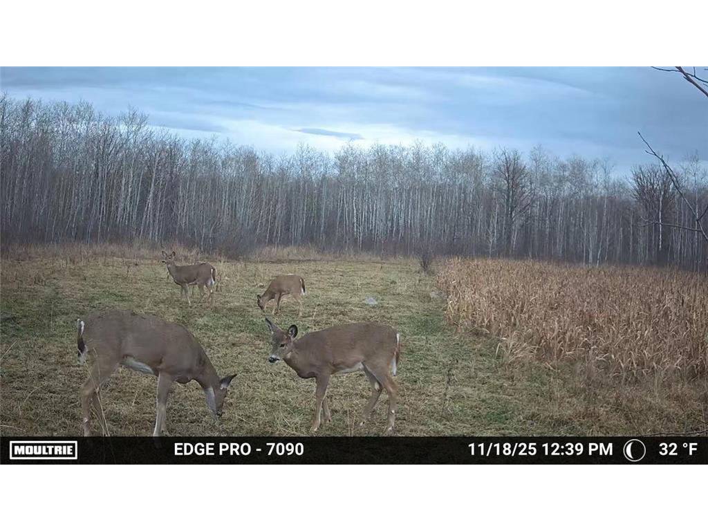 tbd 350th ave sw Cannon Twp MN 56735 7093443 image13