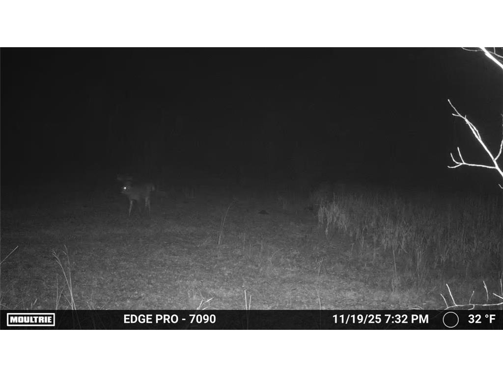 tbd 350th ave sw Cannon Twp MN 56735 7093443 image14