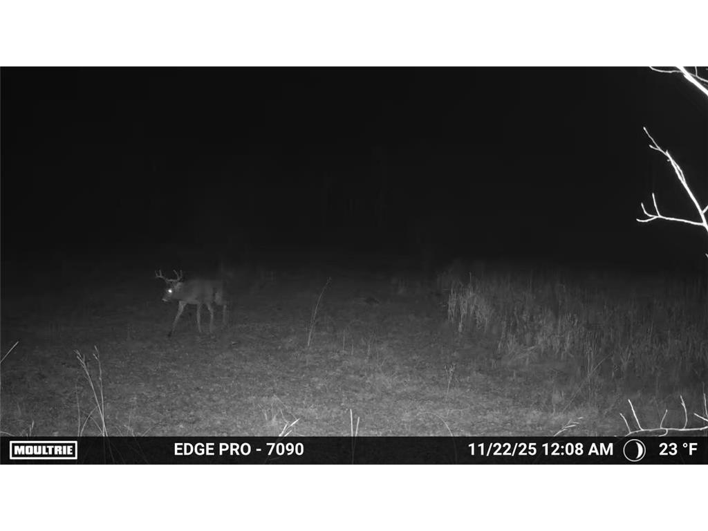 tbd 350th ave sw Cannon Twp MN 56735 7093443 image15