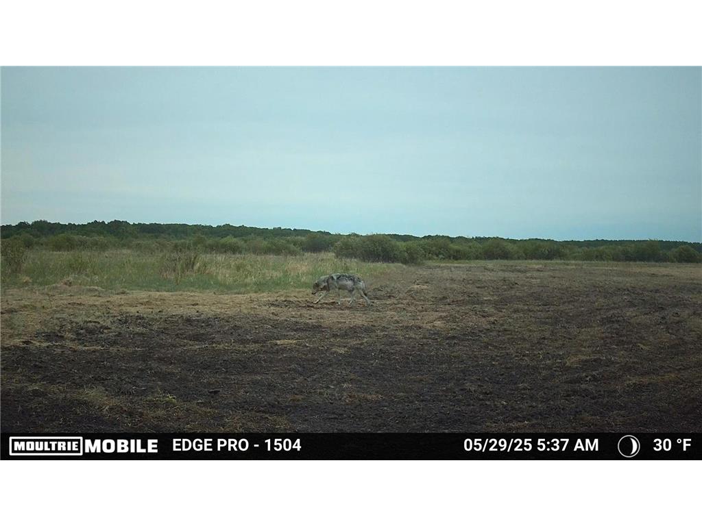 tbd 350th ave sw Cannon Twp MN 56735 7093443 image16