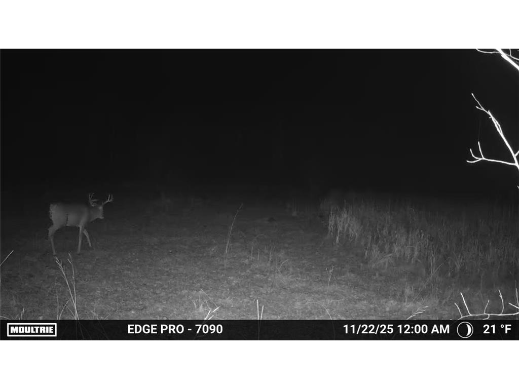 tbd 350th ave sw Cannon Twp MN 56735 7093443 image17
