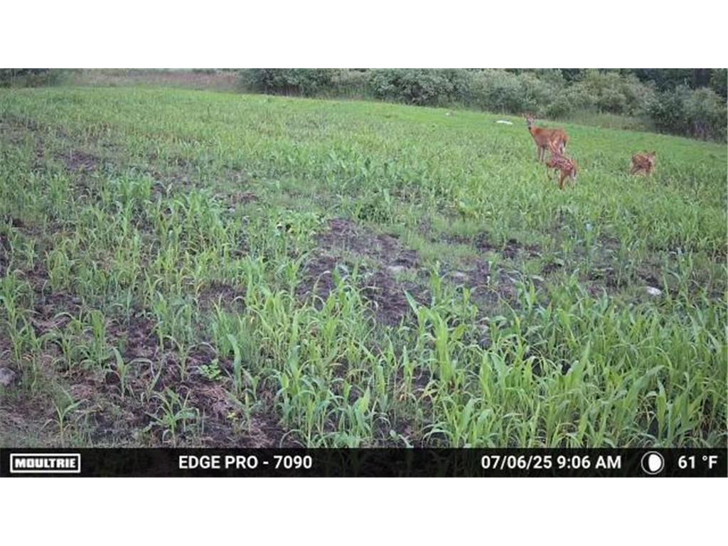 tbd 350th ave sw Cannon Twp MN 56735 7093443 image18