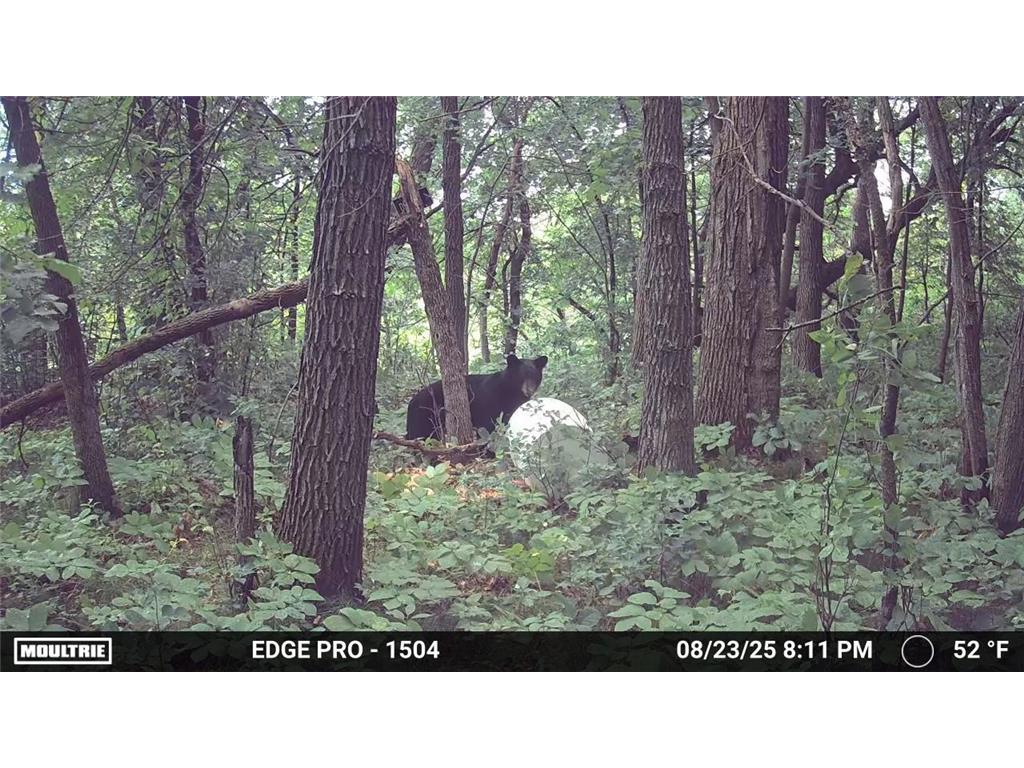 tbd 350th ave sw Cannon Twp MN 56735 7093443 image19