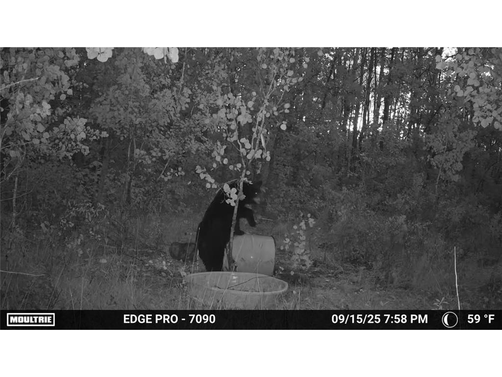 tbd 350th ave sw Cannon Twp MN 56735 7093443 image20