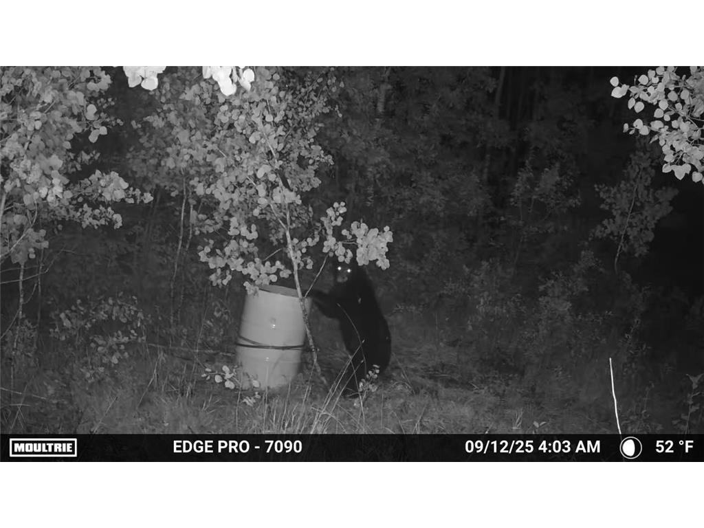 tbd 350th ave sw Cannon Twp MN 56735 7093443 image21