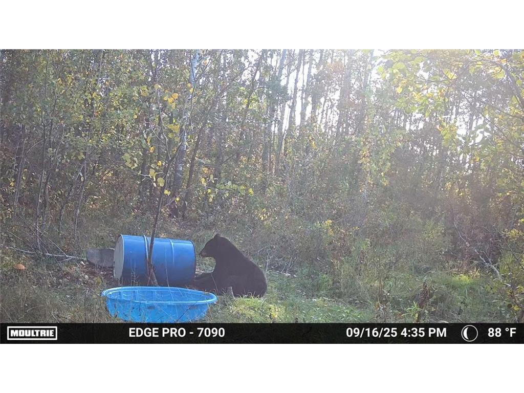 tbd 350th ave sw Cannon Twp MN 56735 7093443 image22