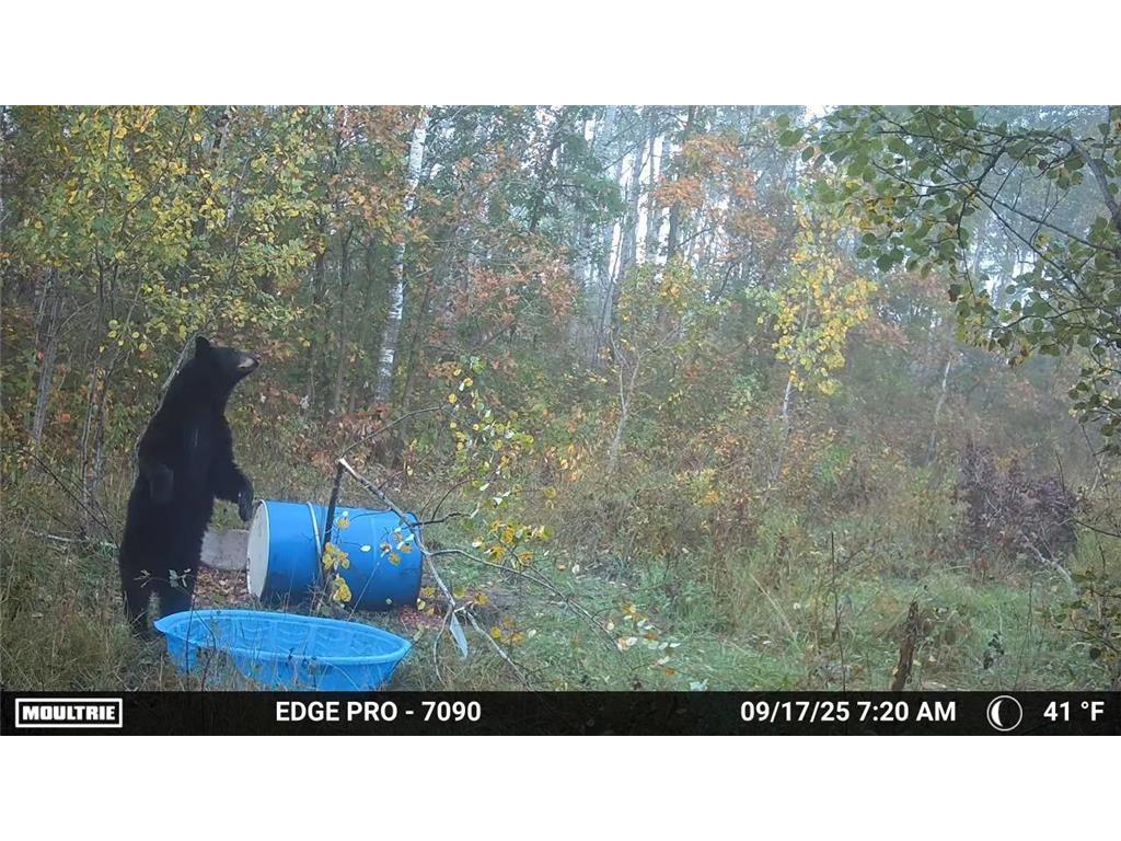 tbd 350th ave sw Cannon Twp MN 56735 7093443 image23