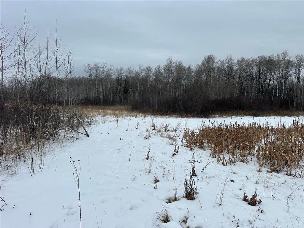 tbd 350th ave sw Cannon Twp MN 56735 7093443 image26