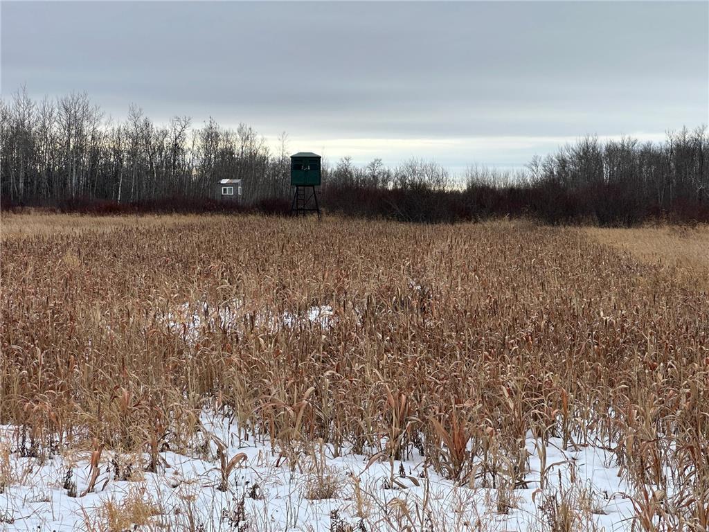 tbd 350th ave sw Cannon Twp MN 56735 7093443 image28